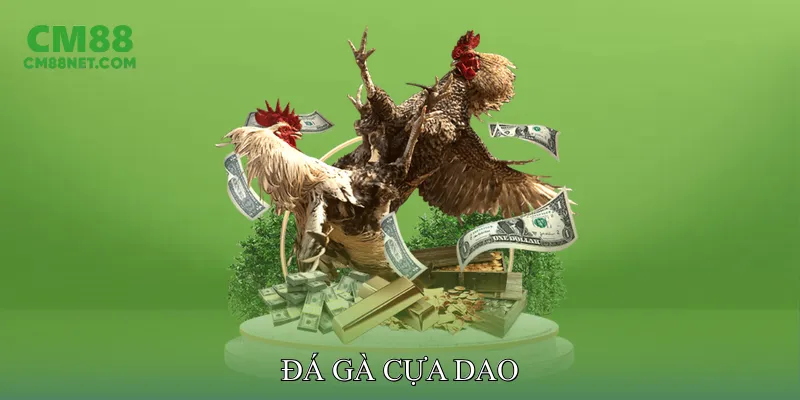 Đá Gà Cựa Dao